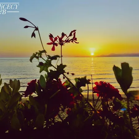 Bed and Breakfast A Casa Di Cecy Agropoli