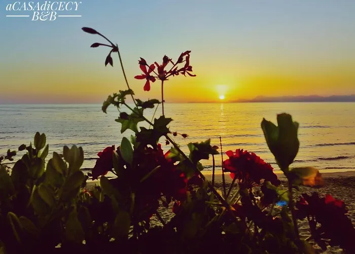 Alojamento de Acomodação e Pequeno-almoço A Casa Di Cecy Agropoli